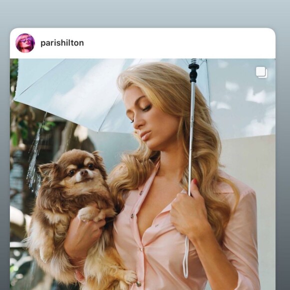 La star américaine de 42 ans a également pris la parole en story. "Repose en paix mon petit ange. Mon coeur est brisé. Tu seras manquée et chérie à jamais. Je t'aime", a commenté celle qui est mariée à l'homme d'affaires Carter Reum, 
Paris Hilton, Instagram.