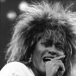 La chanteuse Tina Turner est morte à l'âge de 83 ans, le 24 mai 2023. 