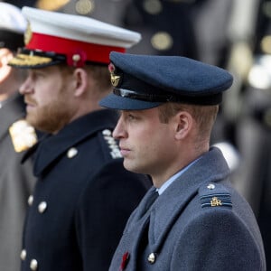 Mais pour cette nouvelle étape, il ne sera pas entouré par 100% des membres de la famille royale.
Le prince William, duc de Cambridge, le prince Harry, duc de Sussex - La famille royale d'Angleterre lors du National Service of Remembrance à Londres le 10 novembre 2019.