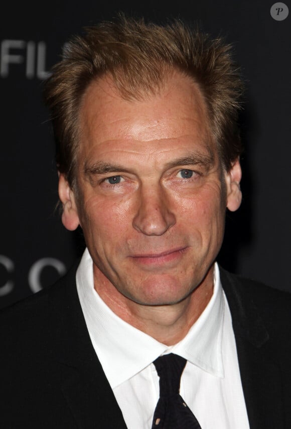 L'acteur britannique était parti faire une randonnée en solo en Californie
Julian Sands - Gala "The LACMA 2015 Art+Film" en l'honneur de James Turrell et Alejandro Inarritu à Los Angeles, le 7 novembre 2015. 