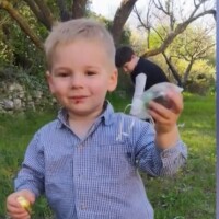 Disparition d'Emile, 2 ans : l'enfant entouré de dangers, les propos glaçants du maire et du préfet