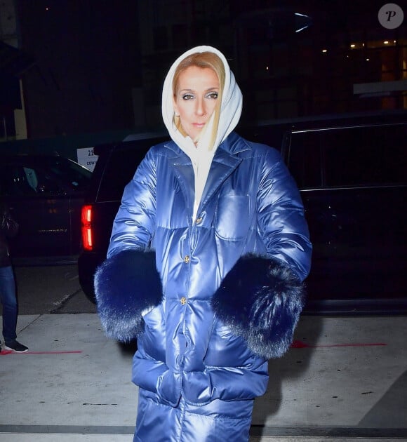 Celine Dion brave le froid de New York avec une maxi doudoune le 7 mars 2020.