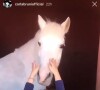 Où qu'elle soit, elle fait du cheval, comme à Marrakech il y a quelques années
Giulia Sarkozy caresse un poney à Marrakech sous le regard de sa maman Carla Bruni. Le 2 janvier 2019.