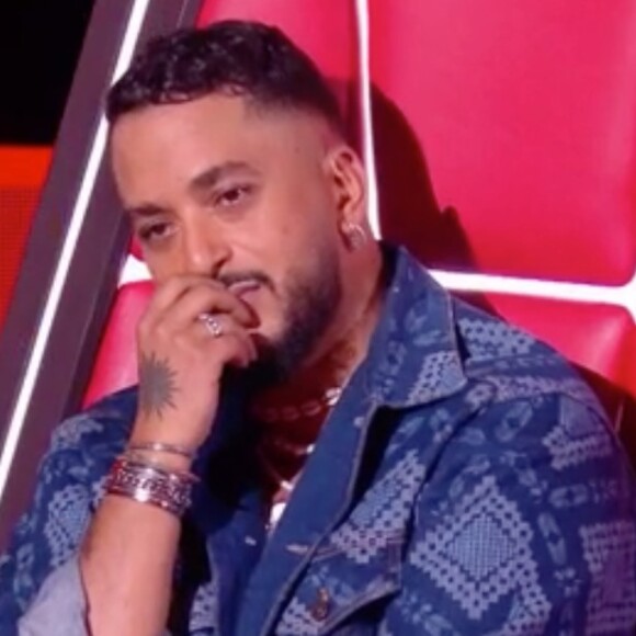 En cette période estivale, certains téléspectateurs ne loupent aucun numéro de "The Voice Kids" sur TF1.