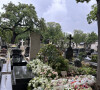 Dans sa cuisine
Exclusif -Tombe de Kate Barry recouverte des fleurs des obsèques de Jane Birkin qui a rejoint sa fille dans sa tombe au funérarium du Montparnasse à Paris le 24 juillet 2023. Après sa crémation au funérarium du Père Lachaise, son urne a été déposée sur sa tombe. 
