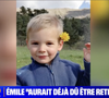Alors qu'il a disparu depuis presque un mois, la famille du petit Emile tente de reprendre le cours normal de sa vie.
Image d'Emile sur BFMTV