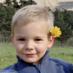 Disparition d'Émile, 2 ans et demi : Le suicide d'un homme, un objet détruit... ces pistes scrutées