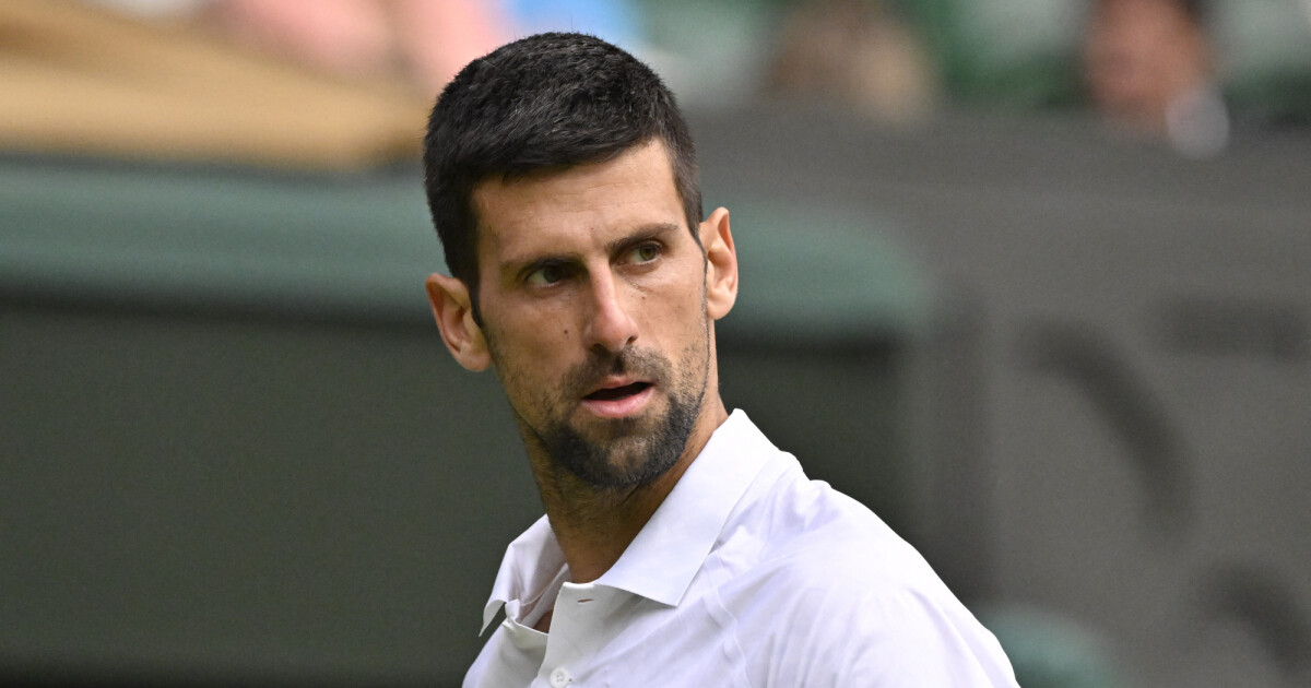 Novak Djokovic Criticized by French Journalists After Victory Against Alcaraz