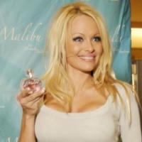 Pamela Anderson vous met au parfum... Barbecue, paprika, fromage ou oignon ?