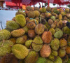 Et l'on apprend que les risques d'intoxications alimentaires ne sont pas forcément le fruit d'une contamination extérieure, grâce au magazine "60 Millions de consommateurs".
Un durian en Indonésie