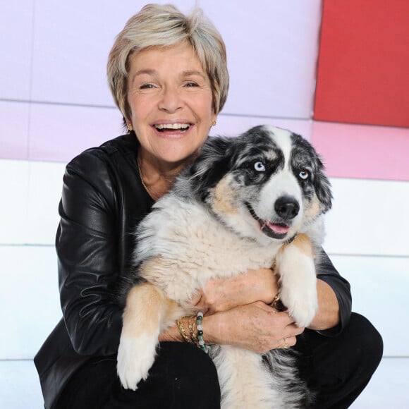 Véronique Jannotégalement sur son plateau pour parler notamment de son dernier livre, "Le présent est mon refuge".
Exclusif - Veronique Jannot et sa chienne- Enregistrement de l'émission Vivement dimanche au studio Gabriel, présentée par M.Drucker et diffusée sur France 3 le 15 octobre 2023. © Guillaume Gaffiot / Bestimage