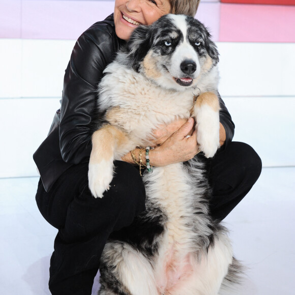 Exclusif - Veronique Jannot et sa chienne- Enregistrement de l'émission Vivement dimanche au studio Gabriel, présentée par M.Drucker et diffusée sur France 3 le 15 octobre 2023. © Guillaume Gaffiot / Bestimage