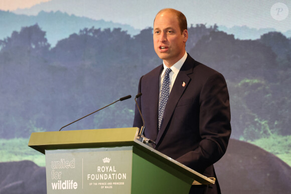 Le prince William, prince de Galles, participe au Sommet mondial United for Wildlife au Flower Dome dans les jardins de la baie à Singapour, le deuxième jour de sa visite sur l'île. 