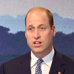 Le prince William, prince de Galles, participe au Sommet mondial United for Wildlife au Flower Dome dans les jardins de la baie à Singapour, le deuxième jour de sa visite sur l'île. 