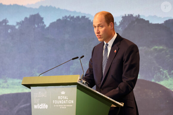 Dans un discours donné lors de son arrivée, le prince William a fait part des excuses de son épouse concernant son absence
Le prince William, prince de Galles, participe au Sommet mondial United for Wildlife au Flower Dome dans les jardins de la baie à Singapour, le deuxième jour de sa visite sur l'île.