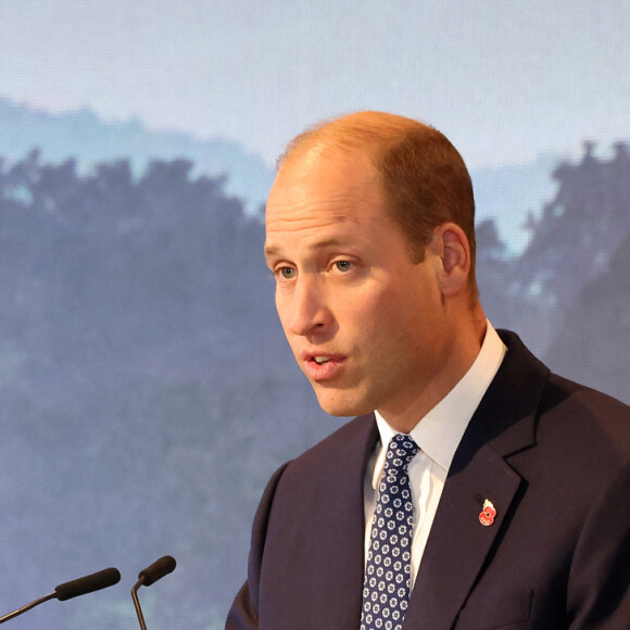 Dans un discours donné lors de son arrivée, le prince William a fait part des excuses de son épouse concernant son absence
Le prince William, prince de Galles, participe au Sommet mondial United for Wildlife au Flower Dome dans les jardins de la baie à Singapour, le deuxième jour de sa visite sur l'île.