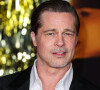 Brad Pitt est aussi tombé amoureux de la provence
Brad Pitt à la première du film "Babylon" à l'academy Museum of Motion Pictures à Los Angeles, Californie, Etats-Unis, le 15 décembre 2022.