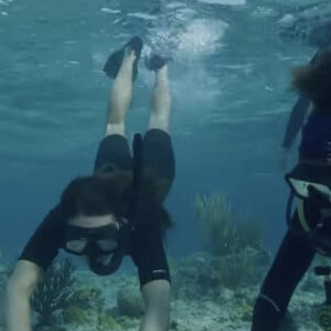 Le prince William et Kate Middleton - Sortie en plongée dans les Caraïbes dans le cadre des prix Earthshot. 