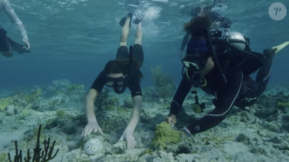Le prince William et Kate Middleton - Sortie en plongée dans les Caraïbes dans le cadre des prix Earthshot. 