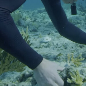 Le prince William et Kate Middleton - Sortie en plongée dans les Caraïbes dans le cadre des prix Earthshot.