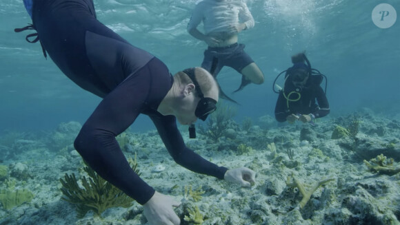 Le prince William et Kate Middleton - Sortie en plongée dans les Caraïbes dans le cadre des prix Earthshot.
