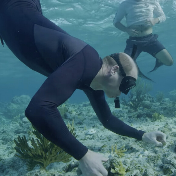 Le prince William et Kate Middleton - Sortie en plongée dans les Caraïbes dans le cadre des prix Earthshot.