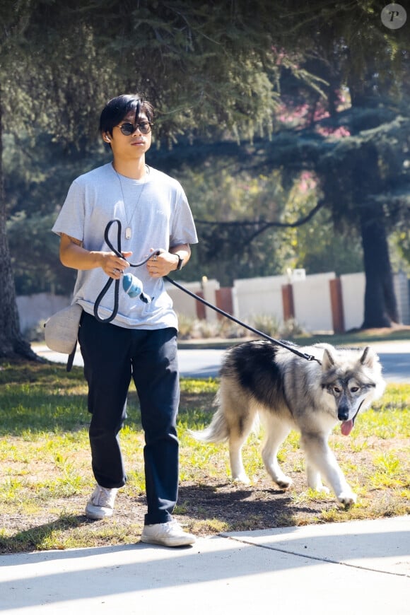 Exclusif - Pax Jolie-Pitt semble fumer un joint en promenant son chien dans le quartier de Los Feliz à Los Angeles, le 8 octobre 2022.