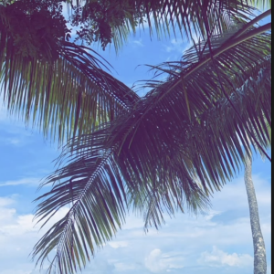 Marion Bartoli aux Seychelles avec son mari Yahya, Instagram