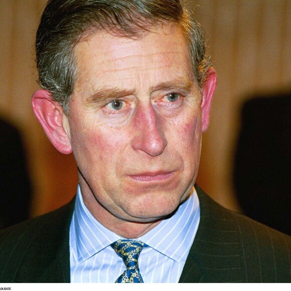 Celui-ci l'avait reçu en visite en Arabie Saoudite en 1998.
Prince Charles - Visite Royale en Arabie Saoudite