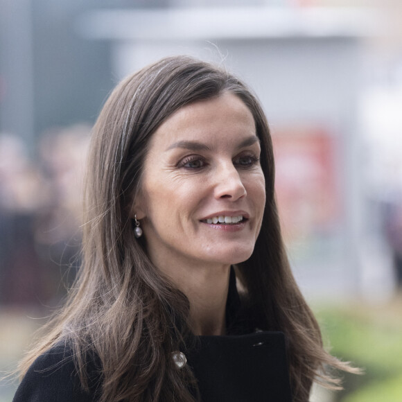 La reine Letizia d'Espagne, en tant que présidente d'honneur de FAD Youth, préside la réunion de son conseil d'administration à Madrid, le 12 décembre 2023. 