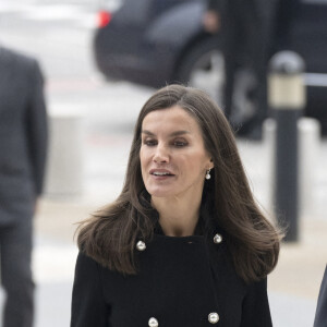 La reine Letizia d'Espagne, en tant que présidente d'honneur de FAD Youth, préside la réunion de son conseil d'administration à Madrid, le 12 décembre 2023. 