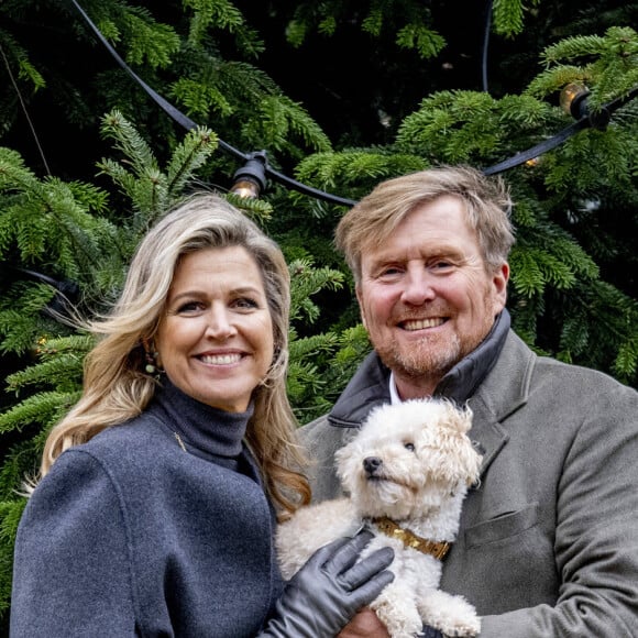 Le roi Willem-Alexander et la reine Maxima des Pays-Bas avec le chien Mambo - La famille royale des Pays-Bas lors de la séance photographique hivernale au château Huis ten Bosch à La Haye, Pays-Bas, le 22 décembre 2023. © Dana Press/Bestimage