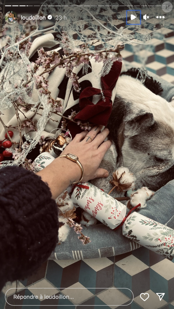La chanteuse a pu compter sur le soutien de son fils aîné qui l'a aidé à enterrer leur chien dans le jardin de la maison familiale. 
Capture d'écran de la story Instagram de Lou Doillon.