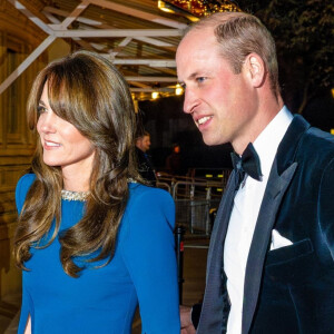 Il est là pour elle, tel un roc, un pilier.
Prince William et Kate Middleton - Royal Variety Performance au Royal Albert Hall.