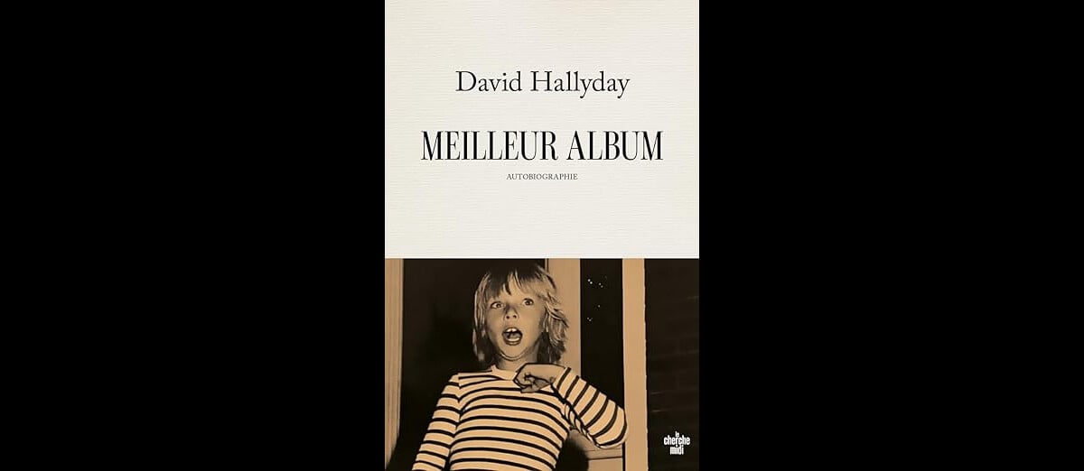 Meilleur album : autobiographie : David Hallyday - 2749177774