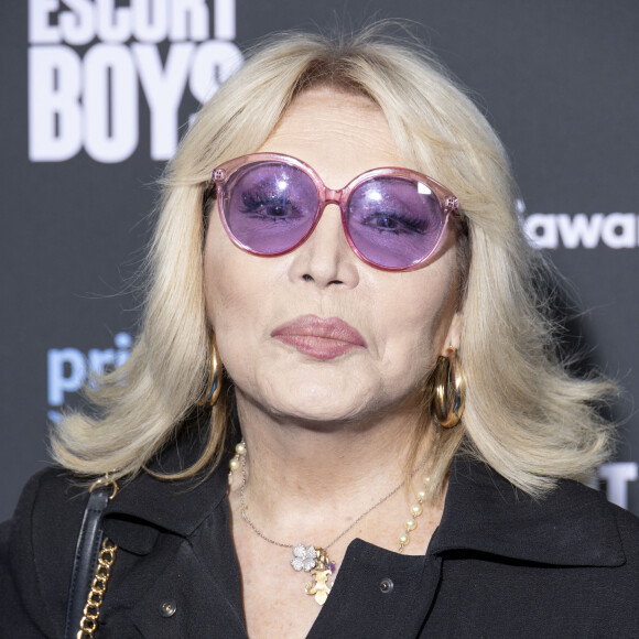 Amanda Lear à la première de la série "Escort Boys" au cinéma UGC Ciné Cité Les Halles à Paris le 18 décembre 2023. © Cyril Moreau / Bestimage 