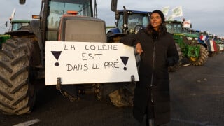 Crise agricole : après Karine Le Marchand, deux célèbres humoristes prennent la défense des agriculteurs et se lâchent