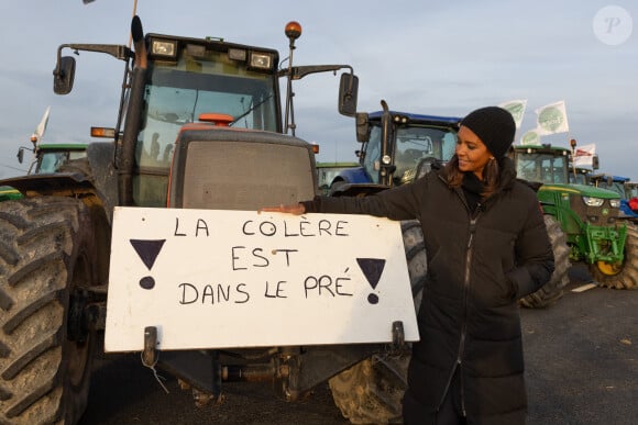 Karine Le Marchand soutient les agriculteurs sur le barrage de l'Autoroute A4 à hauteur de Jossigny en Seine et Marne le 29 Janvier 2024. Comme elle l'avait annoncé la semaine dernière, l'animatrice de l'émission "L'amour est dans le pré", Karine Le Marchand, a amené près de 200 croissants aux agriculteurs sur un barrage sur l'autoroute A4. © Jeremy Melloul - Pierre Perusseau / Bestimage 