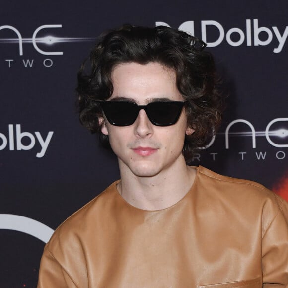 Timothee Chalamet - Première de "Dune, deuxième partie" à New York, le 25 février 2024. 