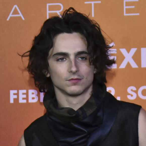 Timothée Chalamet au Mexique.