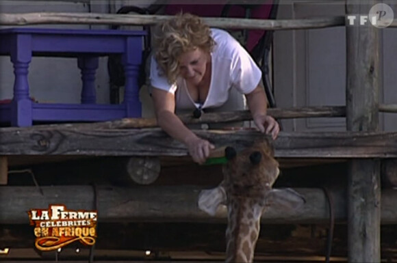 Claudette doit s'occuper des oreilles de la girafe sur les ordres de Greg et David