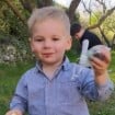 "Qu'a dit Emile ?" : Disparition d'Emile 2 ans et demi, la famille interrogée devant ses parents, journée cruciale et douloureuse