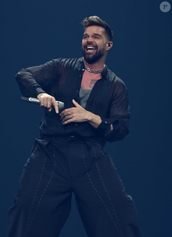 L'artiste de 52 ans, qui portait un pantalon très ample, n'a pas pu camoufler une certaine forme située au niveau de son entrejambe. A vous de juger !
Ricky Martin - The Trilogy Tour en Floride.