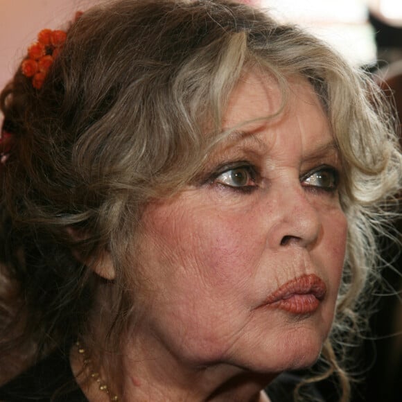 Brigitte Bardot en 2006.