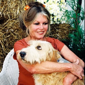 A savoir son chien E.T.
Brigitte Bardot participe à la journée d'adoption organisée par un refuge.