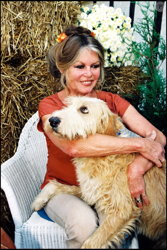 A savoir son chien E.T.
Brigitte Bardot participe à la journée d'adoption organisée par un refuge.