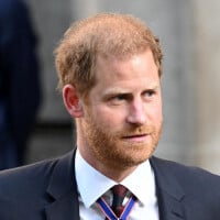 Prince Harry, un mensonge calculé ? Ses retrouvailles manquées avec Charles III auraient une autre explication...