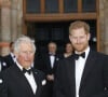 D'après des informations du "Telegraph", le duc de Sussex aurait refusé une proposition d'hébergement faite par son père
Le prince Charles, prince de Galles, le prince Harry, duc de Sussex, à la première de la série Netflix "Our Planet" au Musée d'Histoires Naturelles à Londres, le 4 avril 2019. 