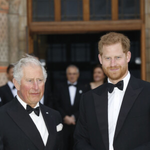 D'après des informations du "Telegraph", le duc de Sussex aurait refusé une proposition d'hébergement faite par son père
Le prince Charles, prince de Galles, le prince Harry, duc de Sussex, à la première de la série Netflix "Our Planet" au Musée d'Histoires Naturelles à Londres, le 4 avril 2019. 