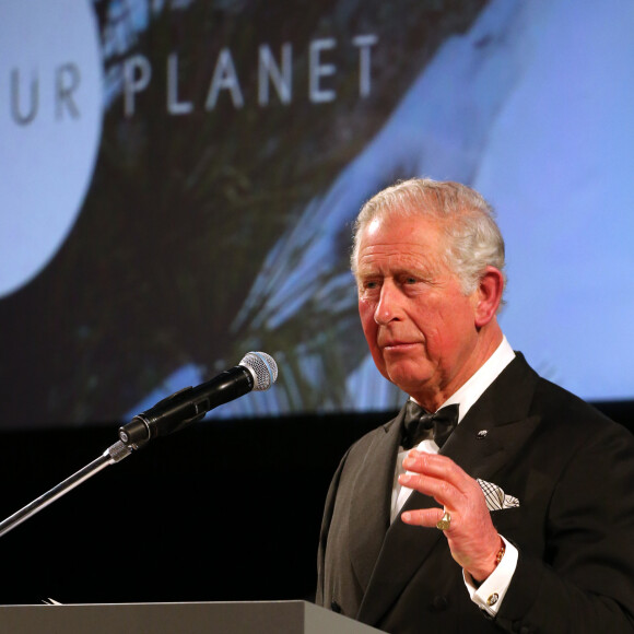 Le prince Charles, prince de Galles, lors de la première de la série Netflix "Our Planet" au Musée d'Histoires Naturelles à Londres, le 4 avril 2019. 